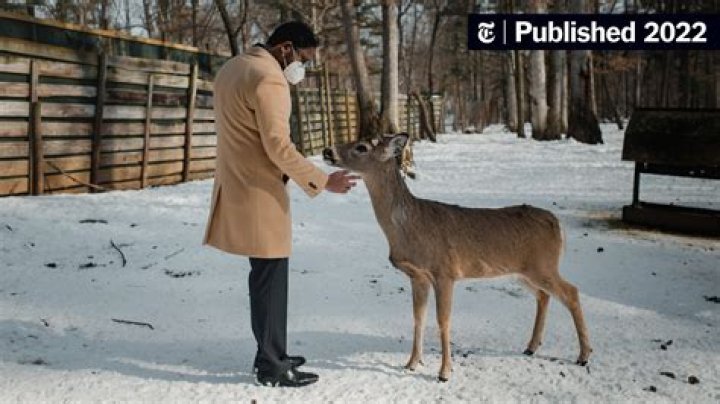 Can deer smell you in the rain?