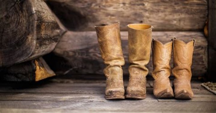 Can water moccasins bite through rubber boots?