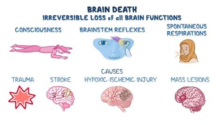 Do all boxers get brain damage?