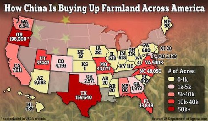 How much of the US does China own?