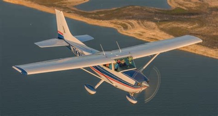 Is a Skyhawk a real bird?