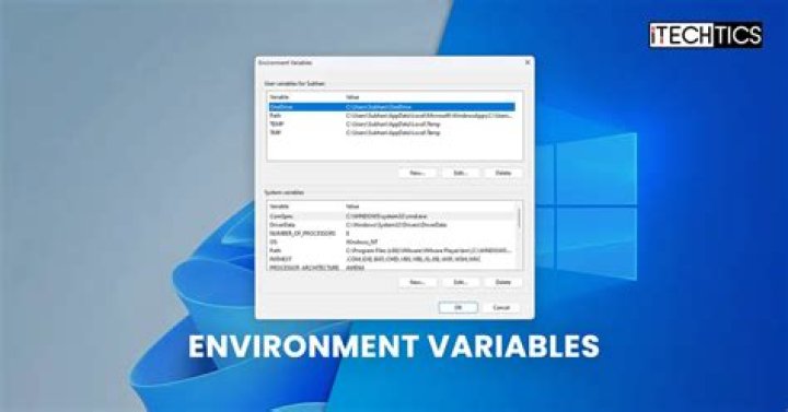 What are system variables in Windows?