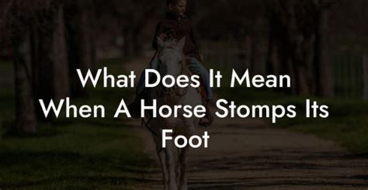 What does it mean when a horse stomps one foot?