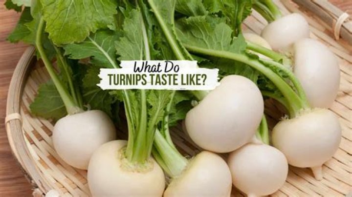 What is a turnip root?