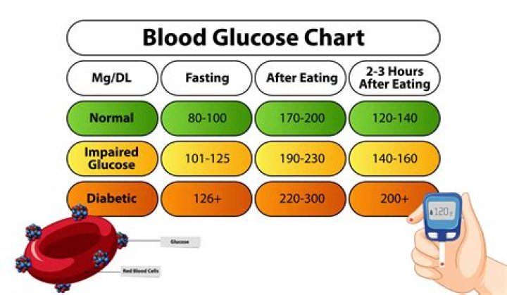 What time of day are blood sugar levels highest?