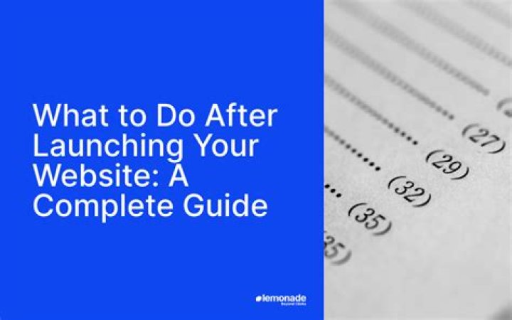 What to do after launching?