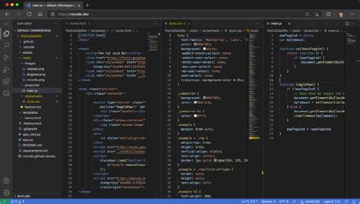 What type of coding is most in demand?